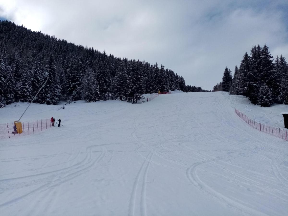 Comodo Alloggio Con Accesso Diretto Alle Piste Santa Caterina Valfurva Eksteriør billede